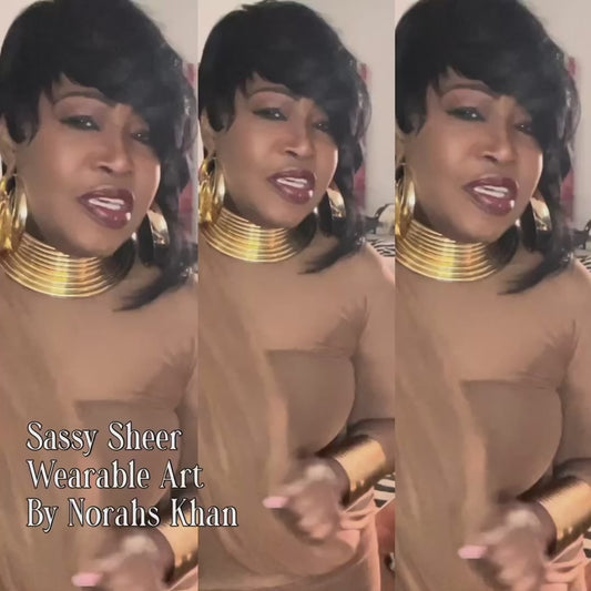 NK Sassy Sheer Dress