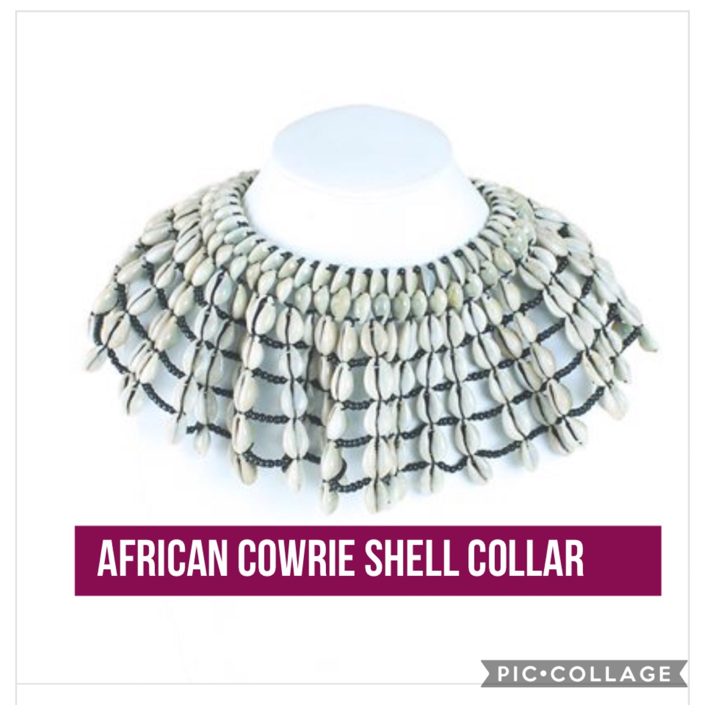 Cowrie Shell Collar